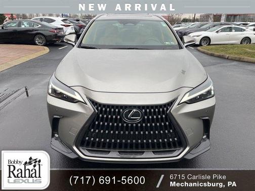 2025 Lexus NX 350 Premium