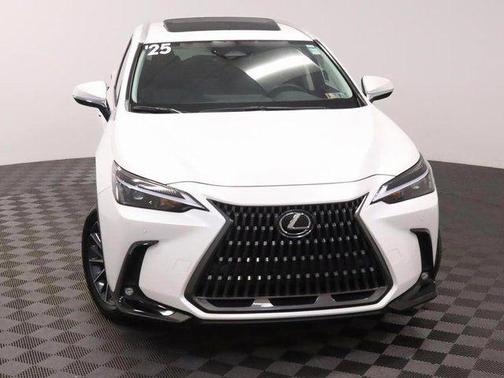 2025 Lexus NX 350 Premium