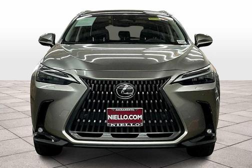2025 Lexus NX 350 Luxury