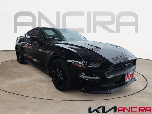 2023 Ford Mustang EcoBoost