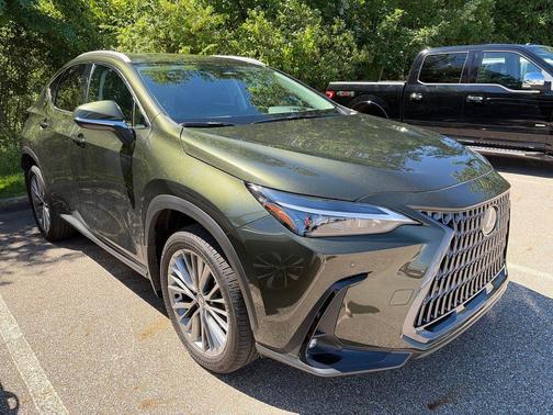 Nori Green Pearl 2026 Lexus NX 350 Premium