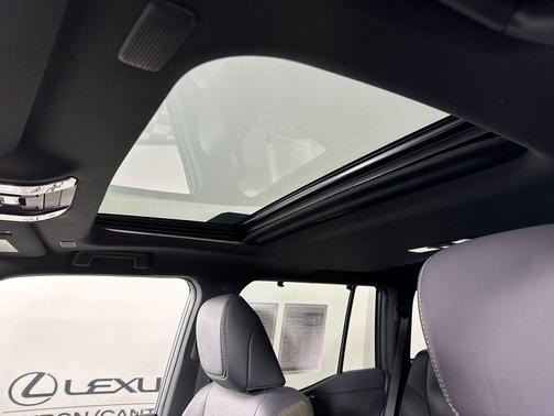 Earth/Black 2024 Lexus GX 550 Overtrail+