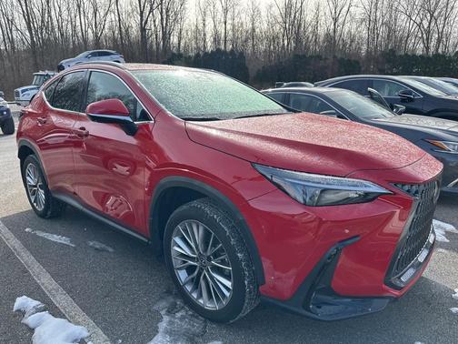 2025 Lexus NX 350 Premium