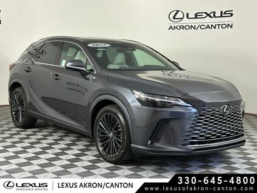 Cloudburst Gray 2025 Lexus RX 350 Premium