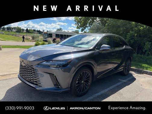 Cloudburst Gray 2025 Lexus RX 350 Premium