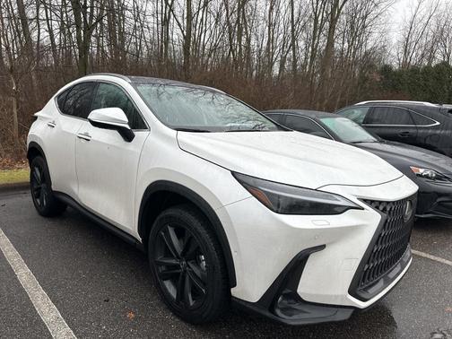 2025 Lexus NX 450h+ Luxury