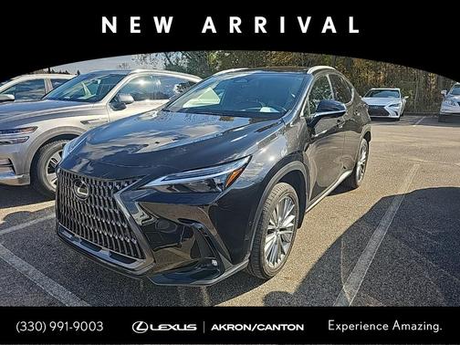 2024 Lexus NX 350h Luxury