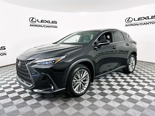 2024 Lexus NX 350h Luxury