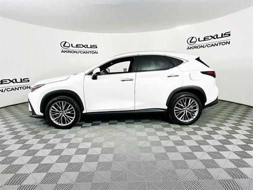 2025 Lexus NX 350 Luxury