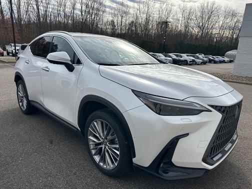 2025 Lexus NX 350 Luxury