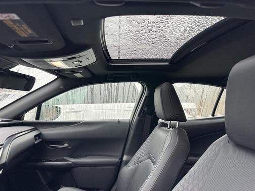 2019 Lexus UX 250h F Sport