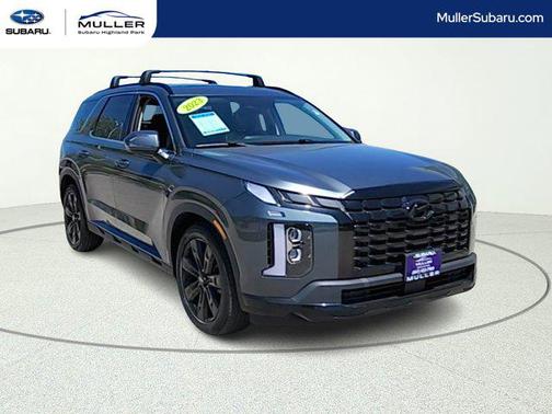 Steel Graphite 2023 Hyundai PALISADE XRT