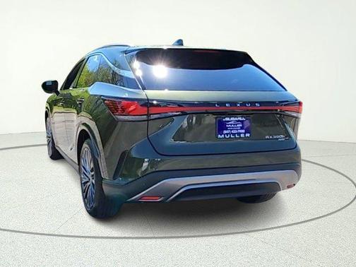 Nori Green Pearl 2023 Lexus RX 350h Luxury