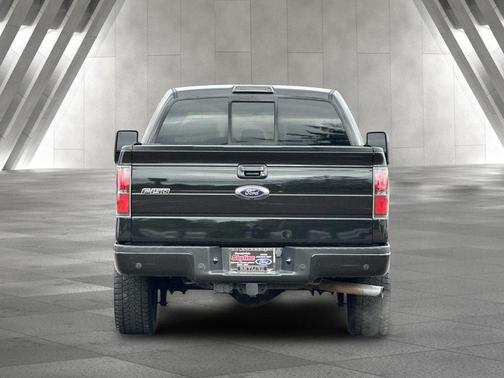 Tuxedo Black Metallic 2014 Ford F-150 FX4