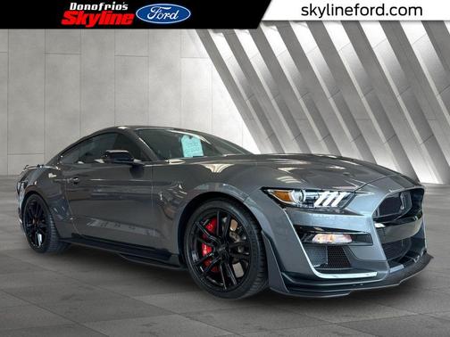 Gray Metallic 2021 Ford Shelby GT500 Base
