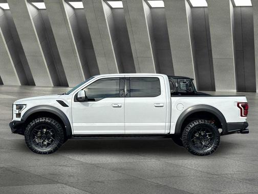 Oxford White 2019 Ford F-150 Raptor