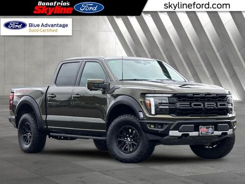 Shelter Green 2024 Ford F-150 Raptor Truck