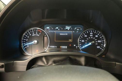 Magnetic 2019 Ford Expedition Limited