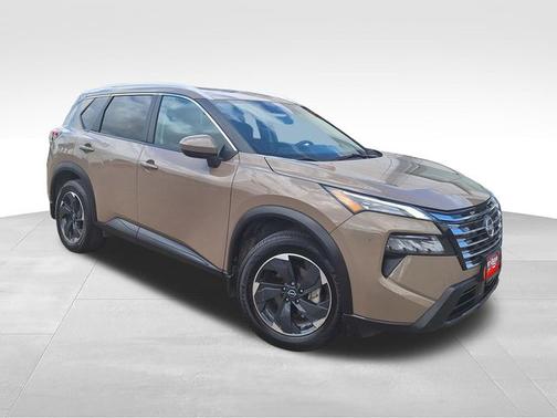 Baja Storm 2024 Nissan Rogue SV