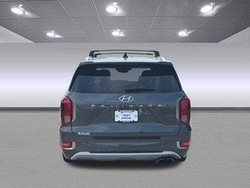 Rainforest 2021 Hyundai PALISADE Limited