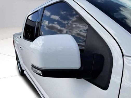 2018 Ford F-150 SNAKE