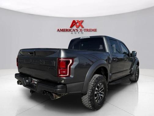 Magnetic 2019 Ford F-150 Raptor