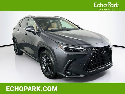 Cloudburst Gray 2025 Lexus NX 250 Premium