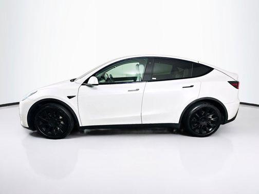 Pearl White Multi-Coat 2021 Tesla Model Y Long Range