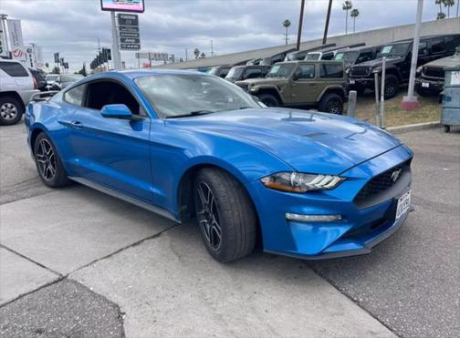 2019 Ford Mustang EcoBoost