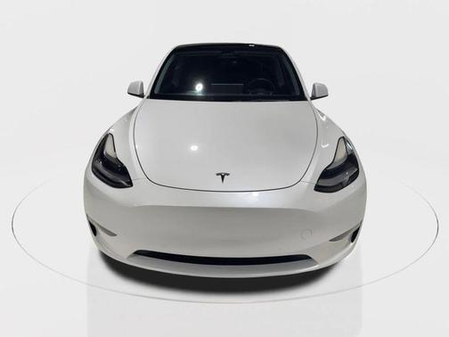 2021 Tesla Model Y Performance Dual Motor All-Wheel Drive