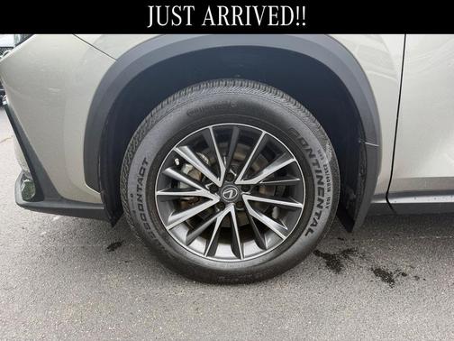 Atomic Silver 2023 Lexus NX 350h Premium