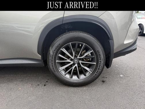 Atomic Silver 2023 Lexus NX 350h Premium