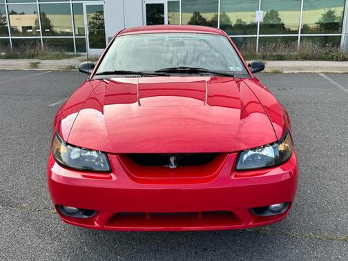 1999 Ford Mustang SVT Cobra