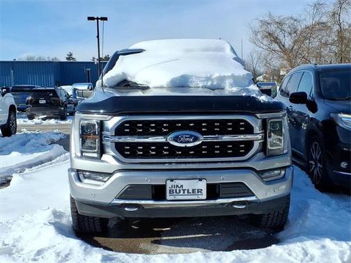 2021 Ford F-150 Platinum