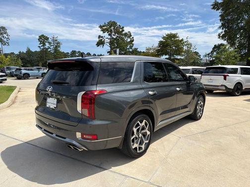 Rainforest 2022 Hyundai PALISADE Calligraphy