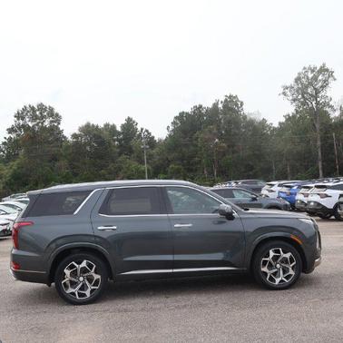 Rainforest 2022 Hyundai PALISADE Calligraphy