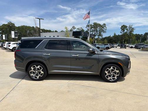 Rainforest 2022 Hyundai PALISADE Calligraphy