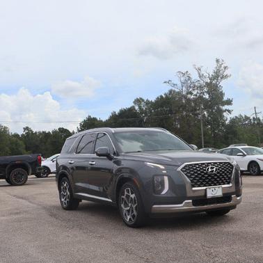 Rainforest 2022 Hyundai PALISADE Calligraphy