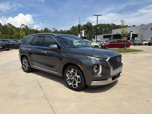 Rainforest 2022 Hyundai PALISADE Calligraphy