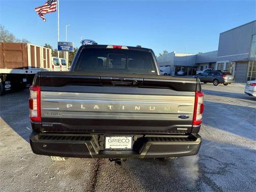 2022 Ford F-150 Platinum