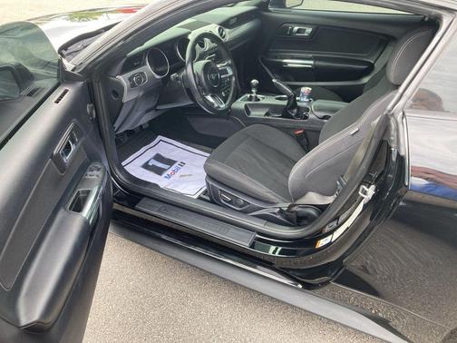 Shadow Black 2019 Ford Mustang GT