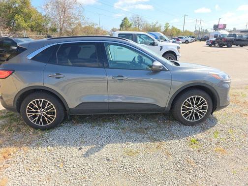 2022 Ford Escape PHEV SEL