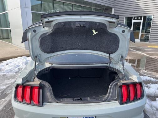 2021 Ford Mustang Mach 1