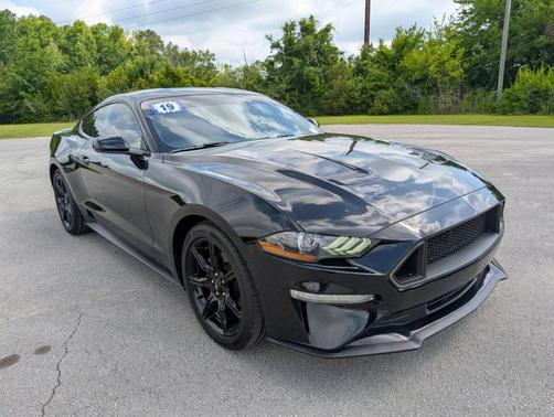 Shadow Black 2019 Ford Mustang EcoBoost