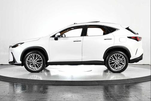2023 Lexus NX 350h Luxury