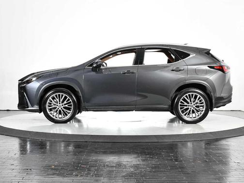 2023 Lexus NX 350 Luxury