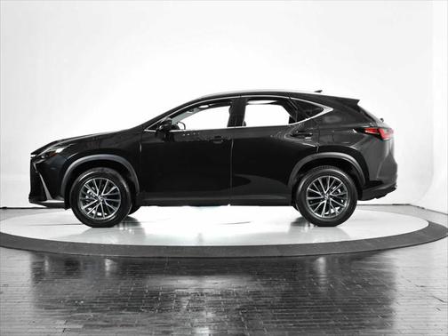 2025 Lexus NX 250 Premium
