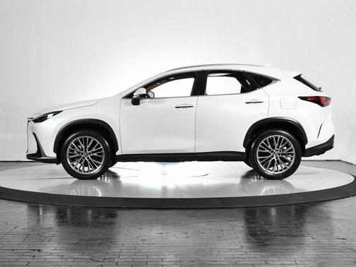 2023 Lexus NX 350h Luxury