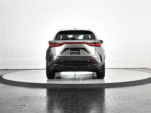 2024 Lexus NX 250 Premium