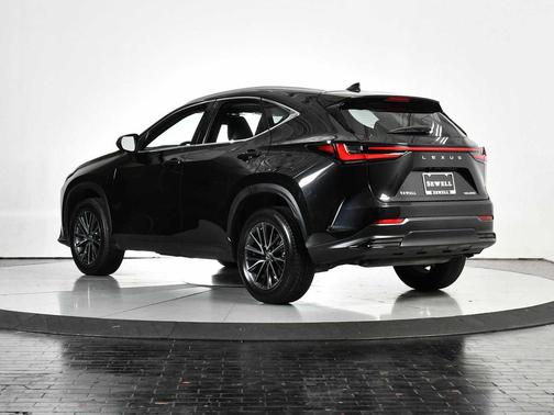 2023 Lexus NX 250 Premium